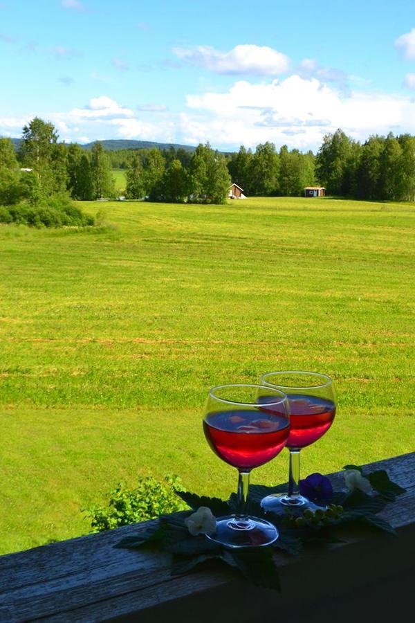 Laitalan Lomat Villa Karhunpaa Kültér fotó
